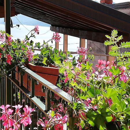 Campino Acomodação com café da manhã Stresa Exterior foto